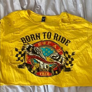 Windsor "Borb to Ride" shredded crop tee